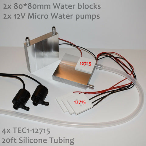 Diy 144w Dual Chip Thermoelectric Peltier Refrigeration Tec1 12706 Cooler | Desertcart